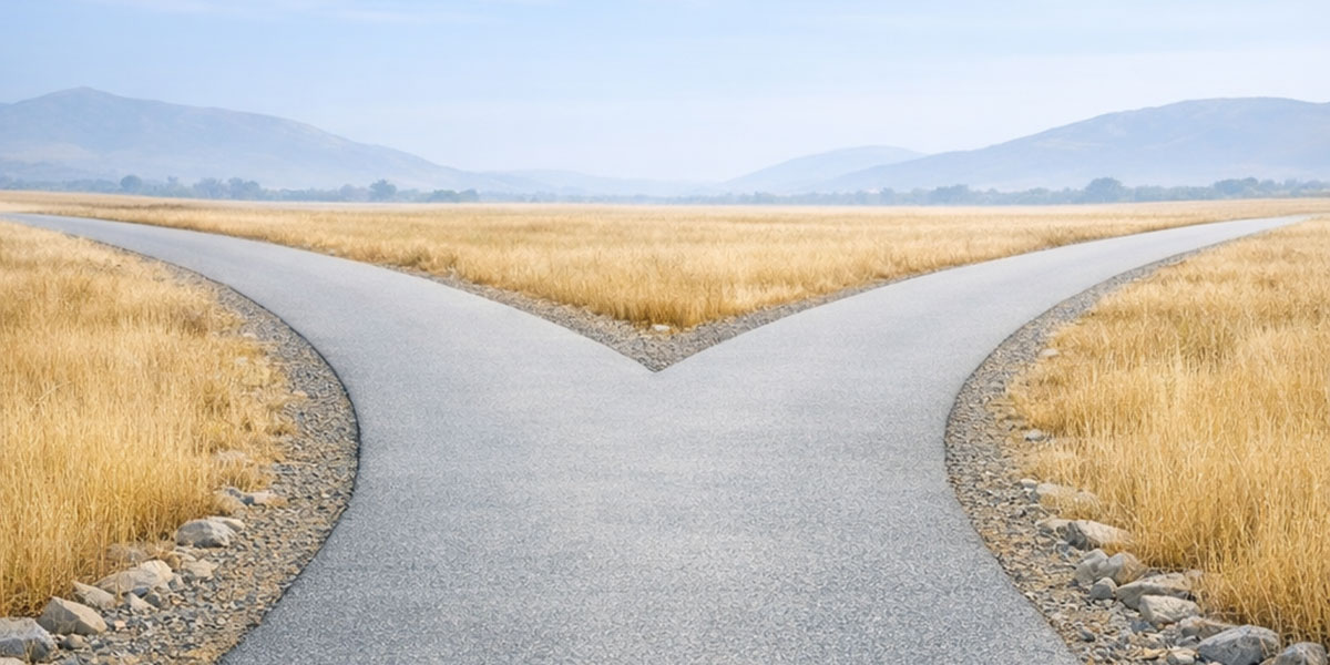 A bright forked path symbolizing the two trajectories of estrangement.